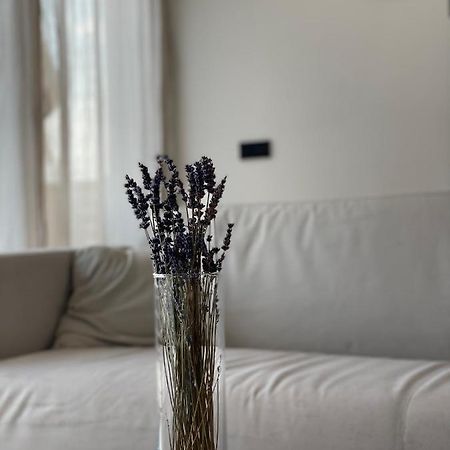 Roemer Apartment Und Zimmer Turkheim Eksteriør billede