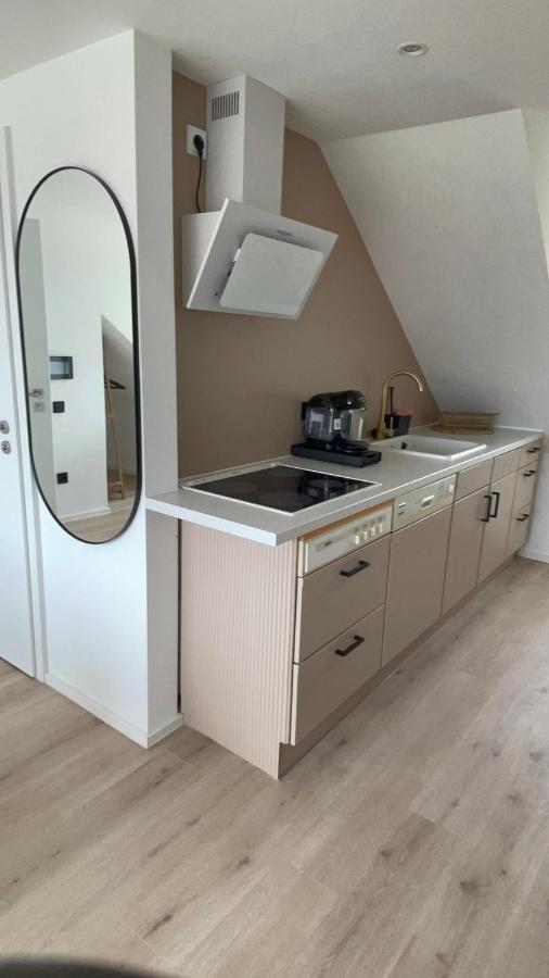 Roemer Apartment Und Zimmer Turkheim Eksteriør billede