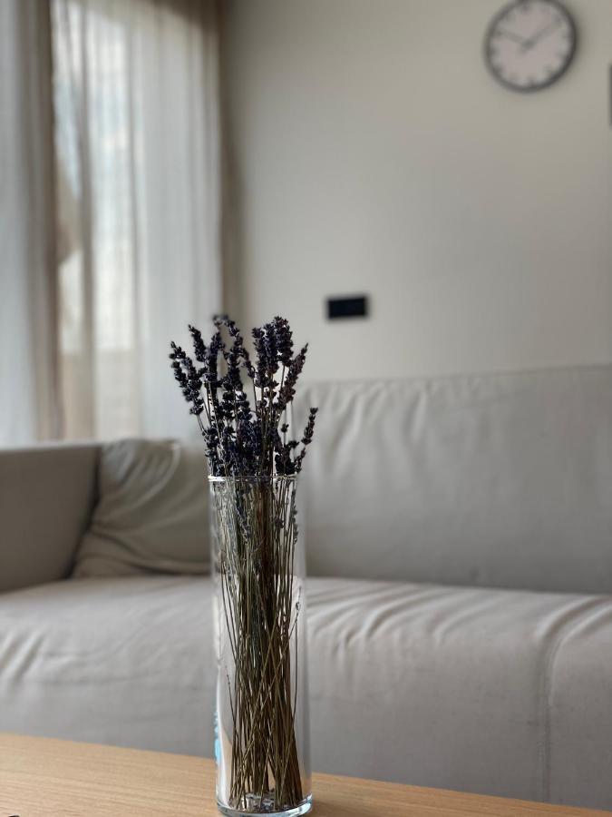 Roemer Apartment Und Zimmer Turkheim Eksteriør billede